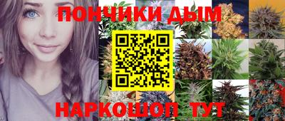дмт Абакан