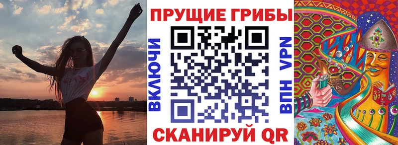 Псилоцибиновые грибы Psilocybine cubensis  как найти наркотики  Петропавловск-Камчатский 