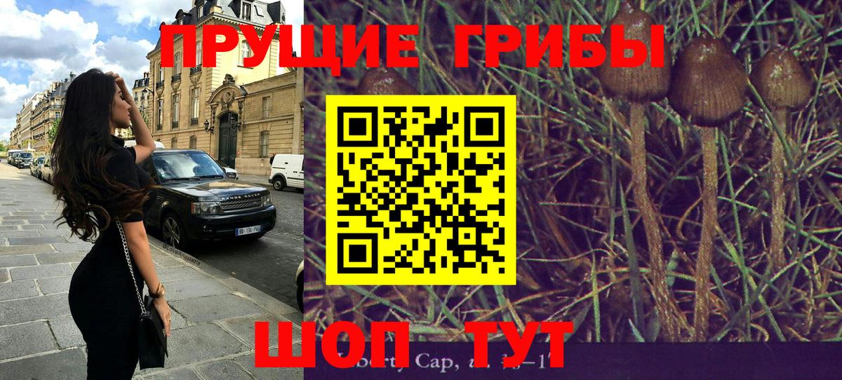 Галлюциногенные грибы GOLDEN TEACHER Петропавловск-Камчатский