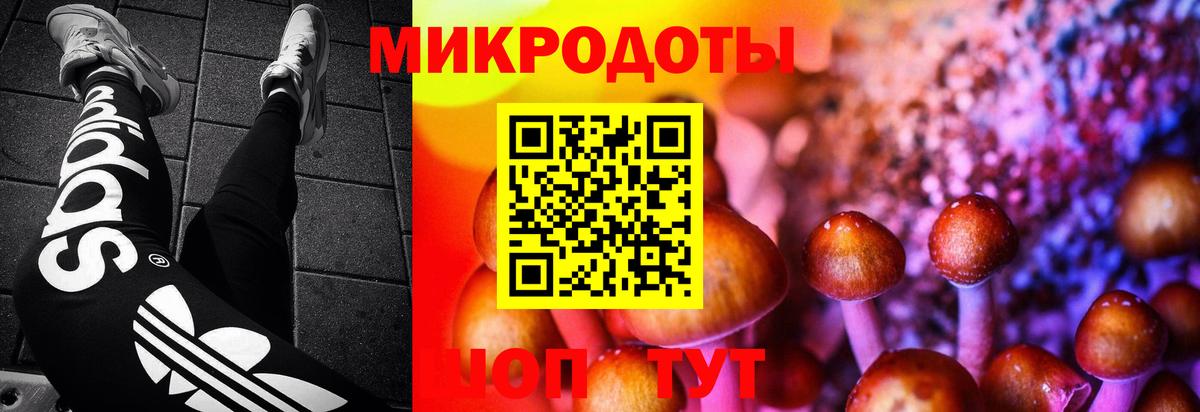 Псилоцибиновые грибы ЛСД  Вход с VPN  Петропавловск-Камчатский 